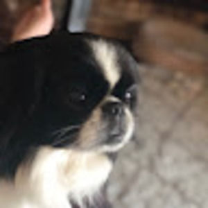 Meet your Posher, Jen